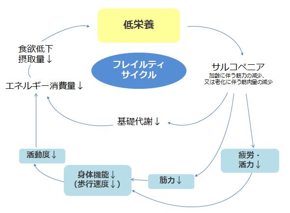 出典）厚生労働省「日本人の食事摂取基準（2015年版）策定検討会」　報告書