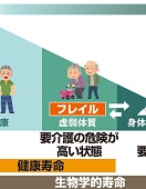 フレイル_コロンブス_TOP